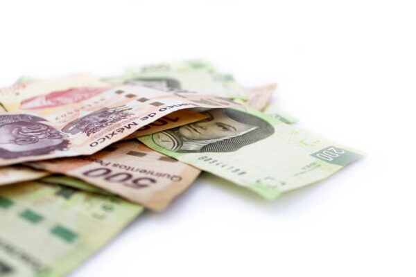 Cosigning Conundrums: Navigating Requirements & Protecting All Parties